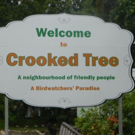 Becks Bed & Breakfast Crooked Tree Ngoại thất bức ảnh