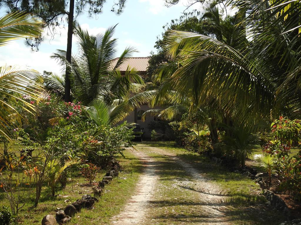 Becks Bed & Breakfast Crooked Tree Ngoại thất bức ảnh