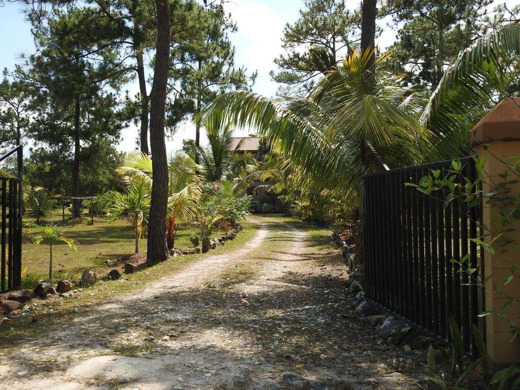 Becks Bed & Breakfast Crooked Tree Ngoại thất bức ảnh