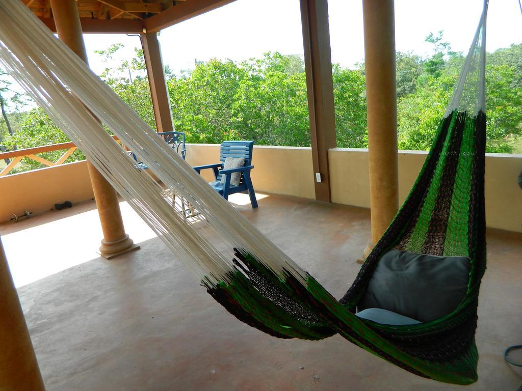 Becks Bed & Breakfast Crooked Tree Ngoại thất bức ảnh