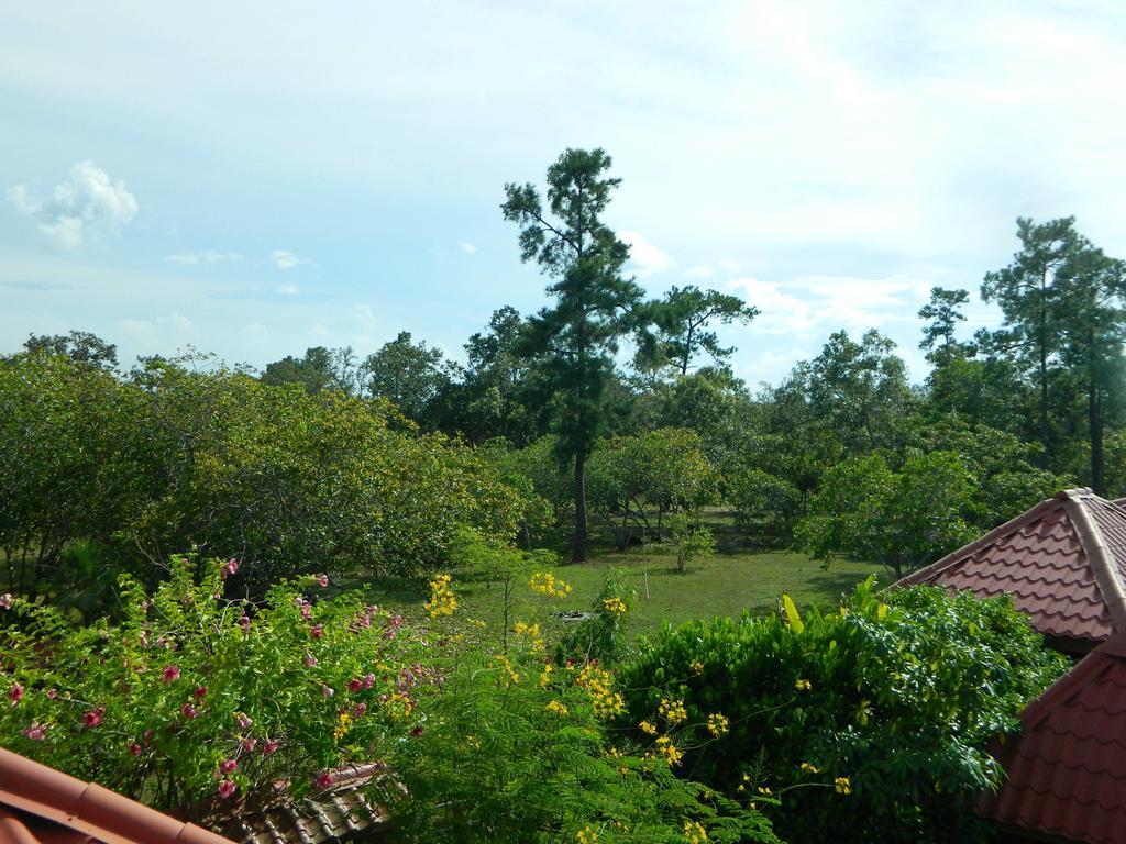 Becks Bed & Breakfast Crooked Tree Ngoại thất bức ảnh