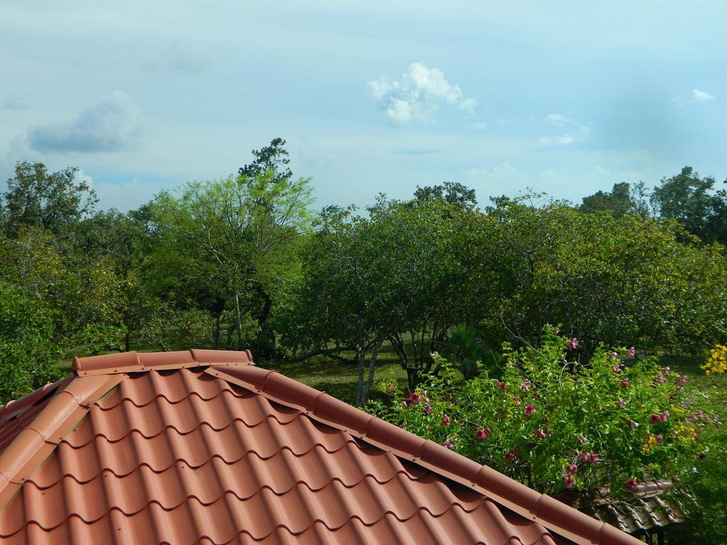 Becks Bed & Breakfast Crooked Tree Ngoại thất bức ảnh