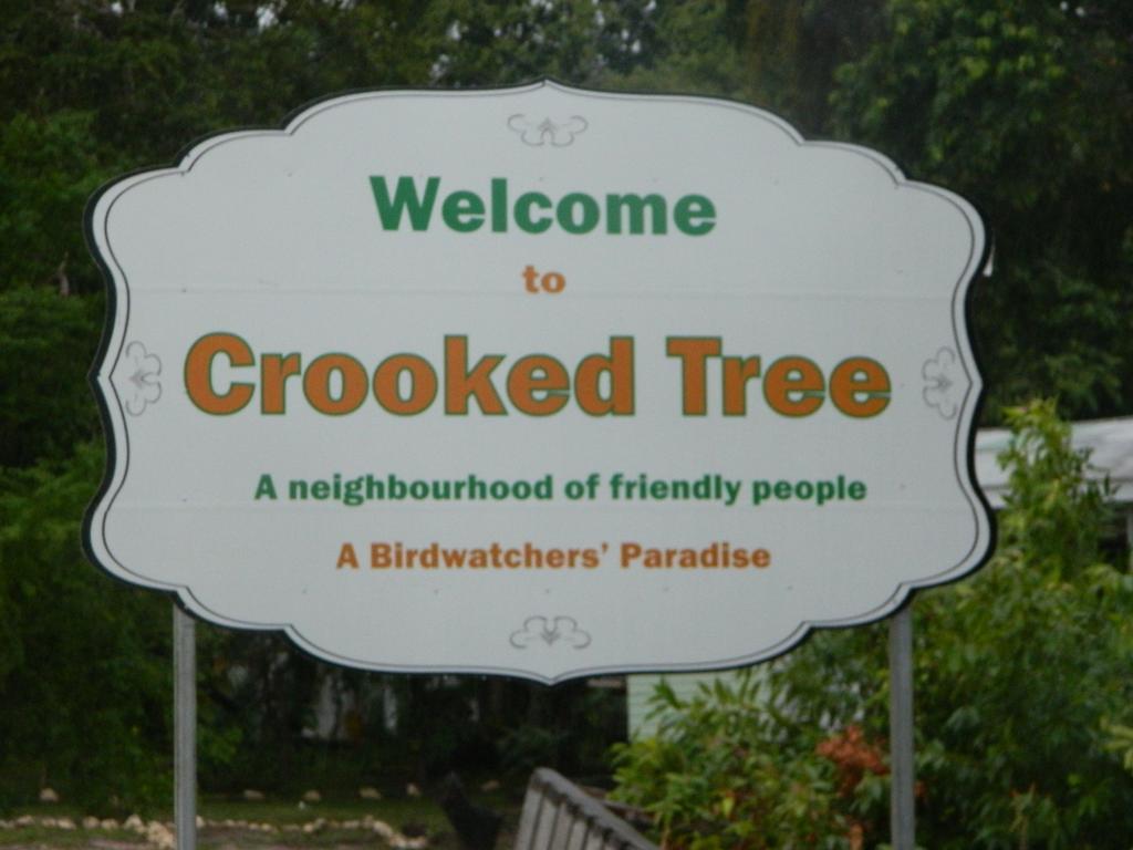 Becks Bed & Breakfast Crooked Tree Ngoại thất bức ảnh